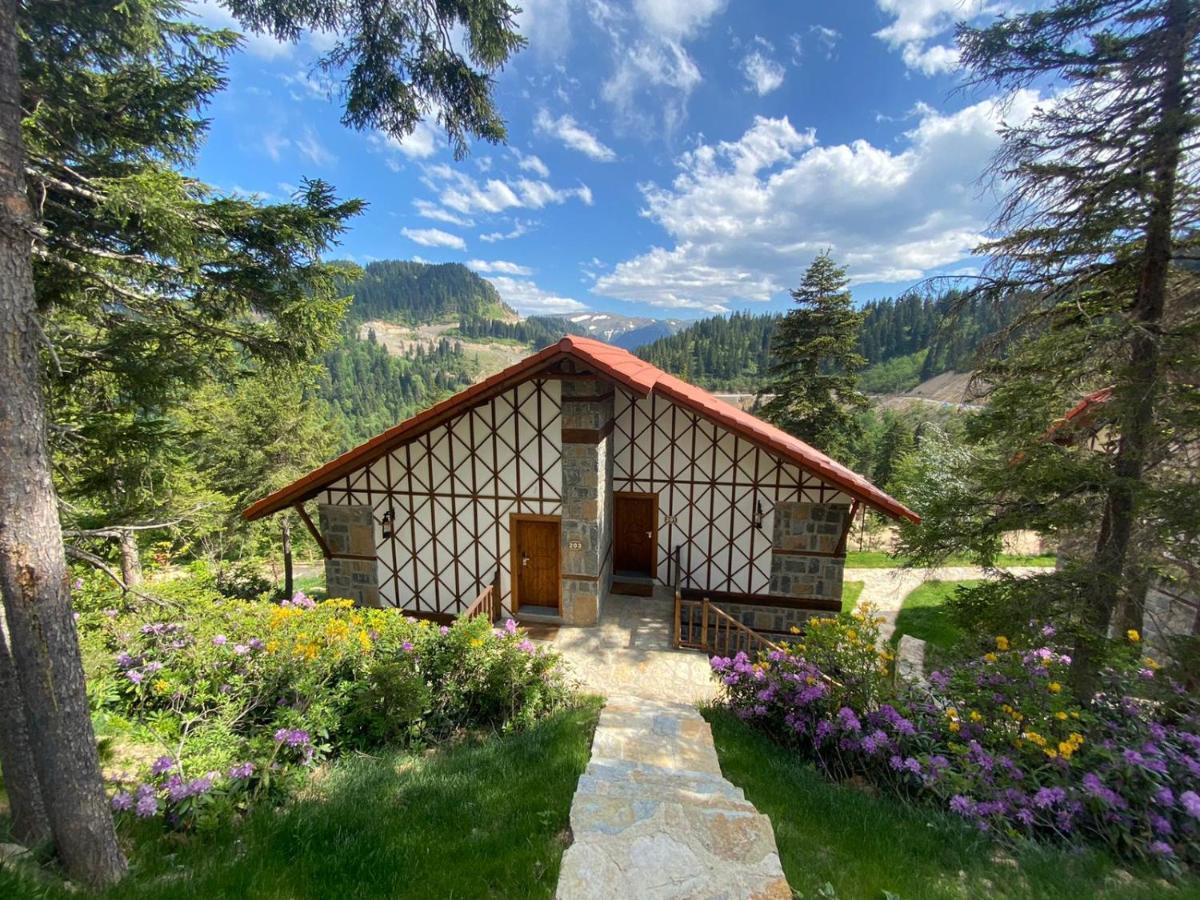 Foleya Mountain Resort Hotel & Villas Trabzon Exteriör bild